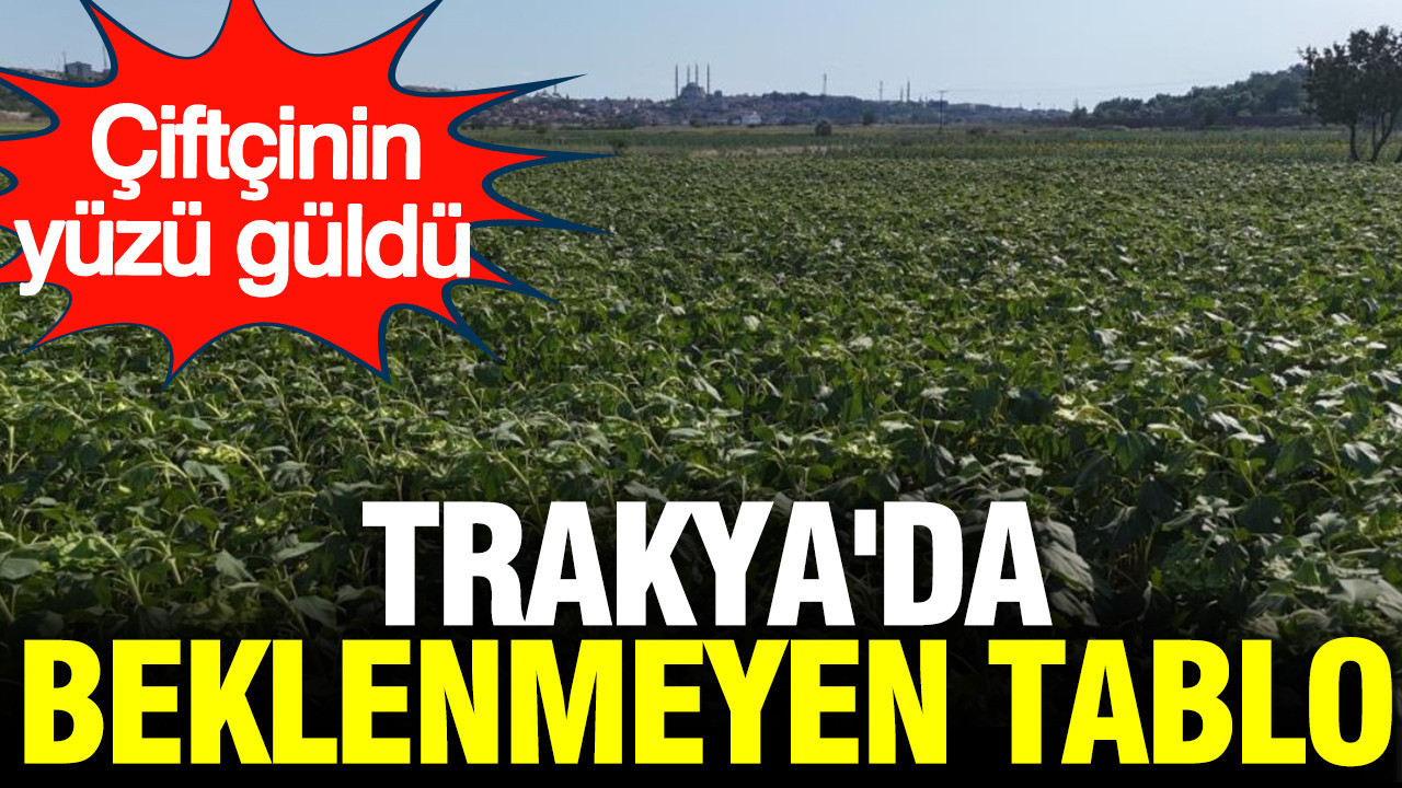 Trakya’da beklenmedik bir durum: Çiftçilerin yüzü güldü